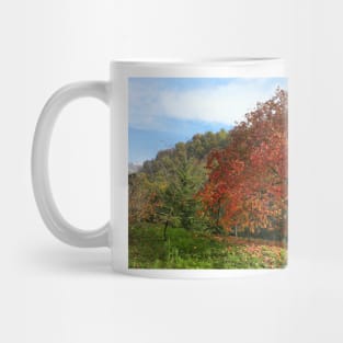 The old persimmon Mug